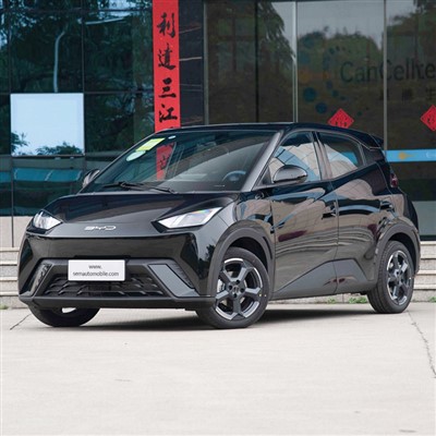 2024 Mini avto BYD Seagull EV 405KM